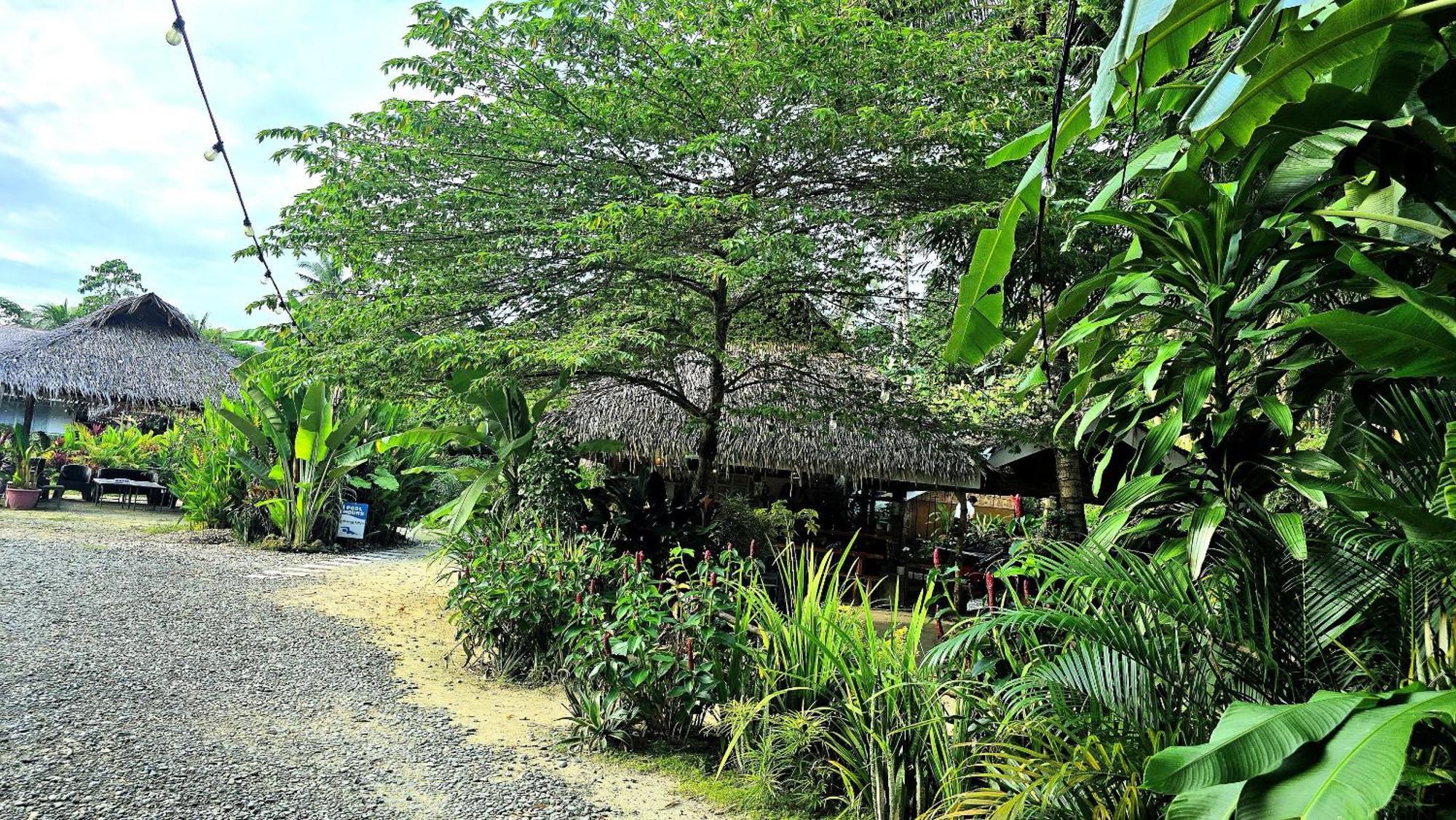 Isola Del Sole Villas And Resort General Luna  Extérieur photo