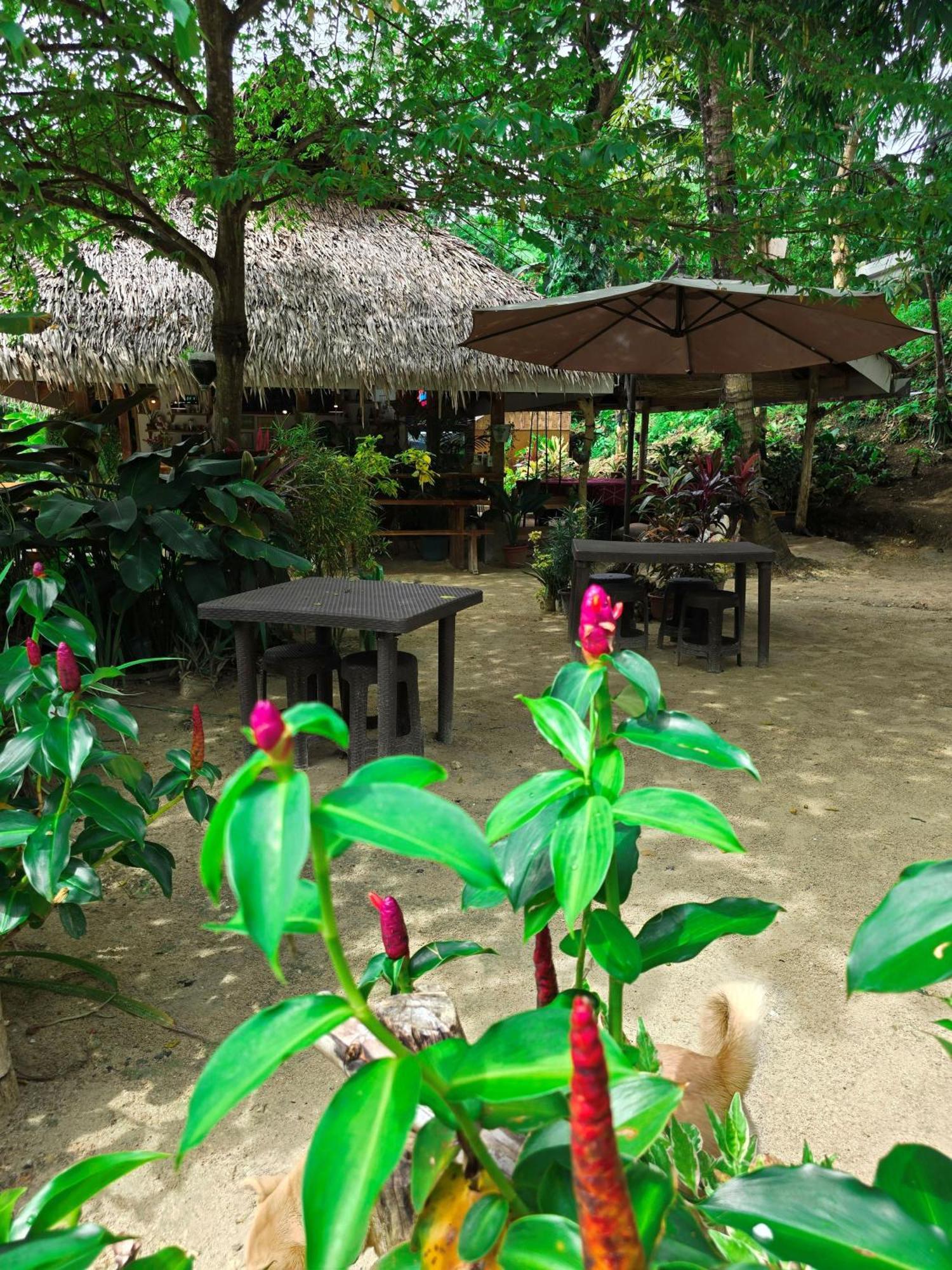 Isola Del Sole Villas And Resort General Luna  Extérieur photo